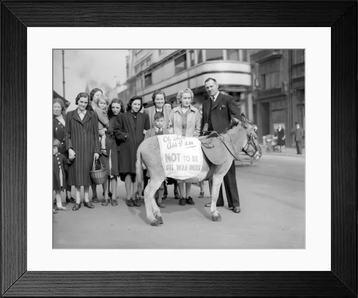 Framed Print : Women at War - during WW2 - September 1941. Workers with Donkey