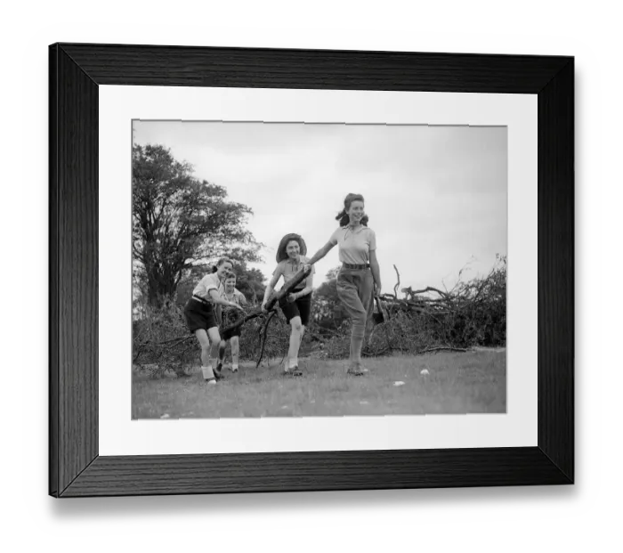 Framed Print : Landgirls gathering wood during WW2 - June 1940 Women doing mens jobs during