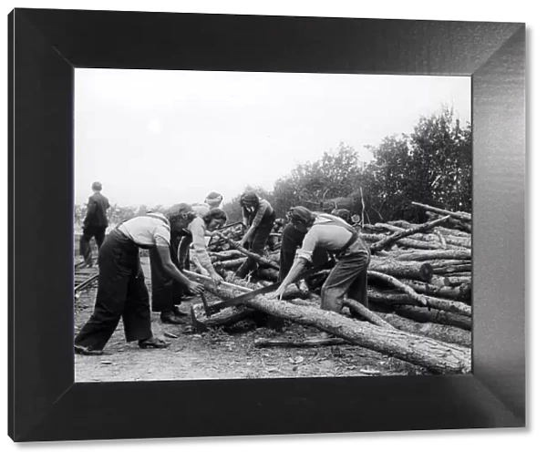 Women lumberjacks sawing felled tress 1941 women doing mens jobs during the war