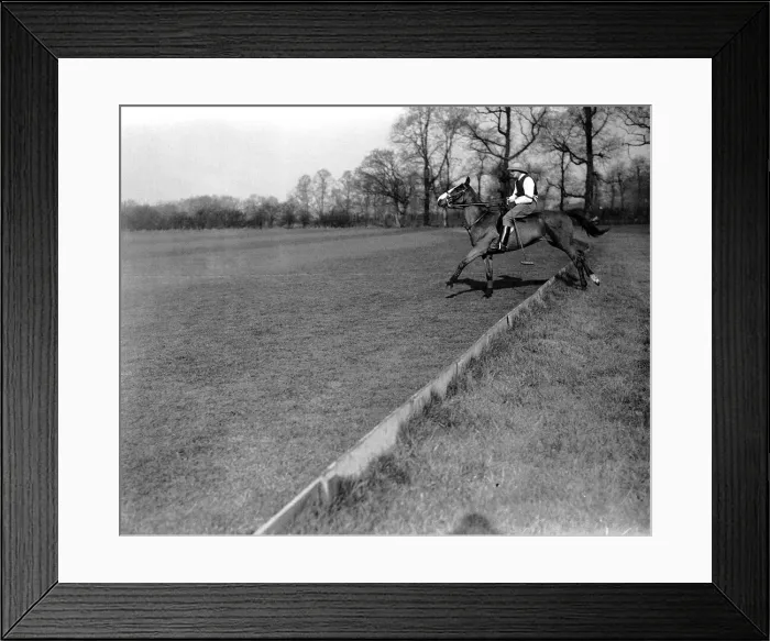 Framed Print : Winston Churchill playing polo at Worcester Park April 1924
