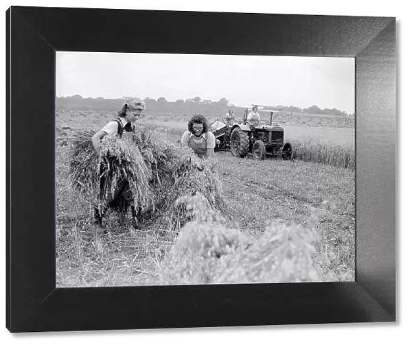 Land Girls Harvesting during WW2 - 1941 Women doing mens jobs during the war
