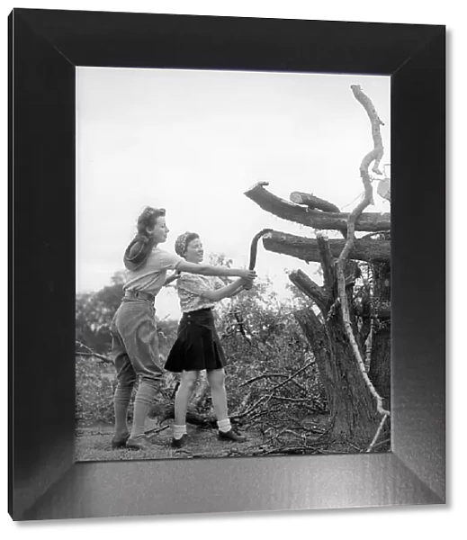 Landgirls chopping wood during WW2 - 1940 Women doing mens jobs during the war