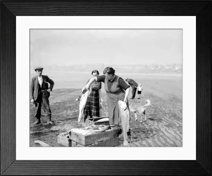 Framed Print : Fisherwomen of New Biggin, England inspect their catch Women fulfilling Mens work Framed Print : Fisherwomen of New Biggin, England inspect their catch Women fulfilling Mens work