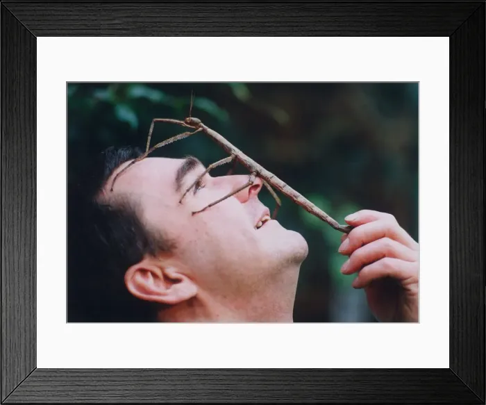Framed Print : Richard Lamb, manager at the Stratford Butterfly Farm, with Arnie