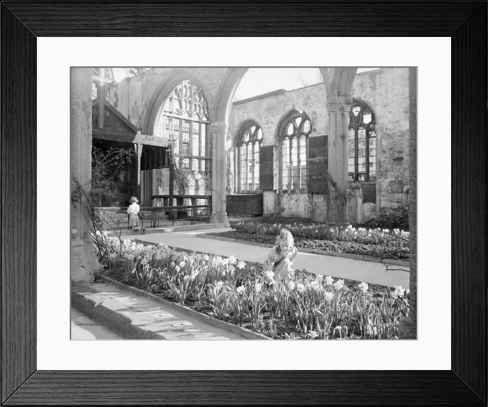 Framed Print : A young girl looks at the Dafodils growing in the remains of St Andrews Church in