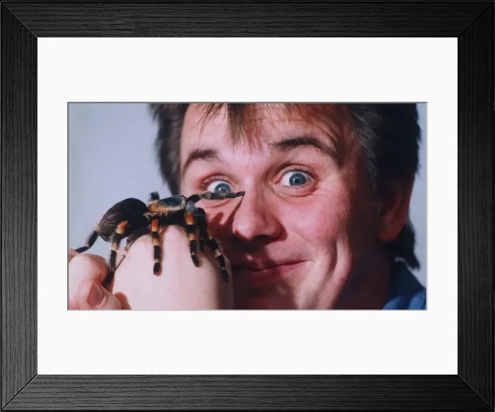 Framed Print : Steve Bristow with his tarantula spider. 20th October 1993 Framed Print : Steve Bristow with his tarantula spider. 20th October 1993