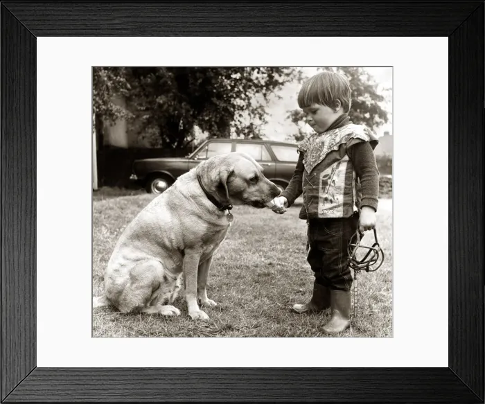 Framed Print : 2 year old Edward Turner feeding an ice cream to his pet labrador Glen after removing his Framed Print : 2 year old Edward Turner feeding an ice cream to his pet labrador Glen after removing his