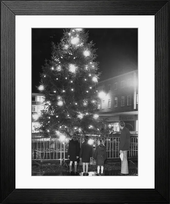 Framed Print : The Christmas tree lights were switched on in Mell Square last night Framed Print : The Christmas tree lights were switched on in Mell Square last night