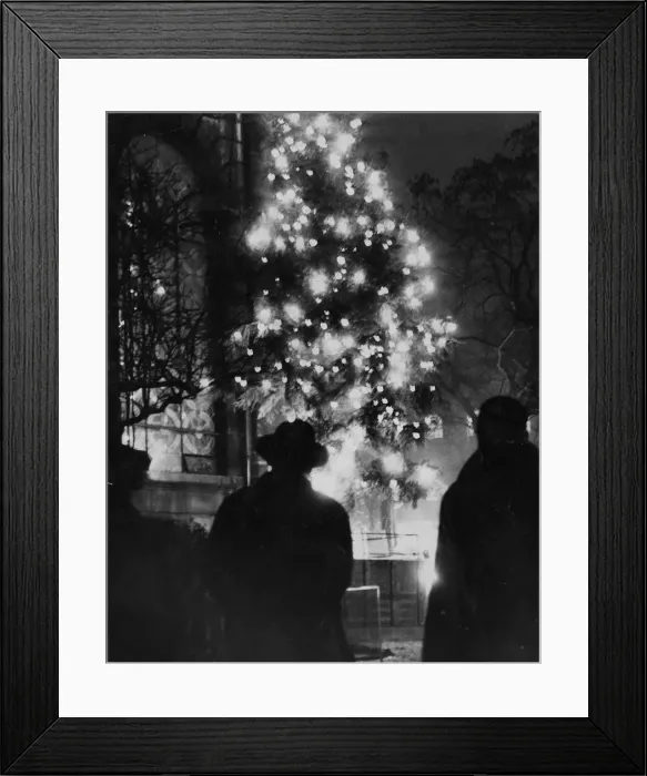 Framed Print : Passers-by in St Phillips Cathedral Churchyard pause to admire the cheerful blaze of Framed Print : Passers-by in St Phillips Cathedral Churchyard pause to admire the cheerful blaze of