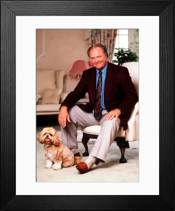 Framed Print : Ron Atkinson Football manager sitting on chair at home with his pet dog. January 1991 Framed Print : Ron Atkinson Football manager sitting on chair at home with his pet dog. January 1991