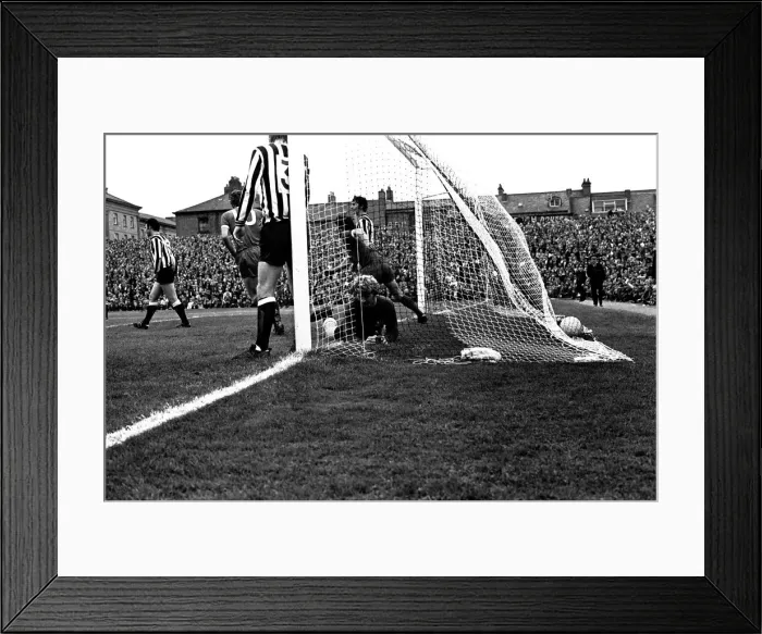 Framed Print : Newcastle United v Liverpool at St Jamess Park, 21 / 08 / 1971. Liverpool scores a goal Framed Print : Newcastle United v Liverpool at St Jamess Park, 21 / 08 / 1971. Liverpool scores a goal