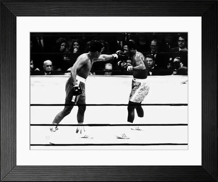 Framed Print : Muhammad Ali and Joe Frazier battle it out for the World Heavyweight Championship title