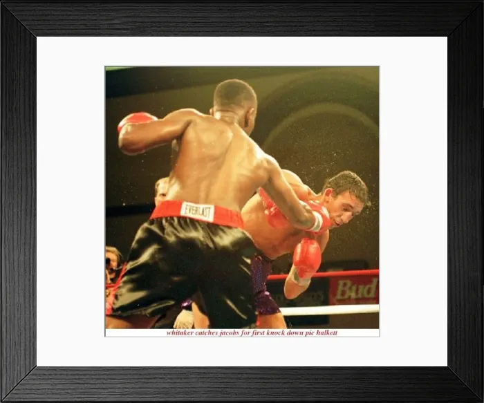  : Pernell Whitaker throws punch Gary Jacobs boxing