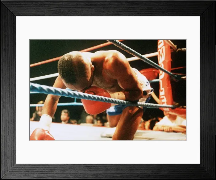 Framed Print : LLoyd Honeyghan Boxing Down for the count on one during his fight against Mark Breland Framed Print : LLoyd Honeyghan Boxing Down for the count on one during his fight against Mark Breland