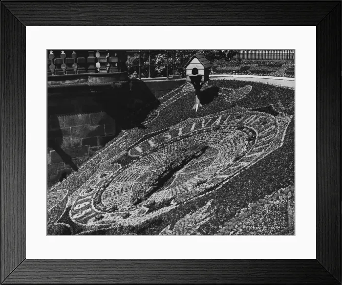 Framed Print : Festival of Britain 1951 dinburgh Old Historical floral clock display Framed Print : Festival of Britain 1951 dinburgh Old Historical floral clock display