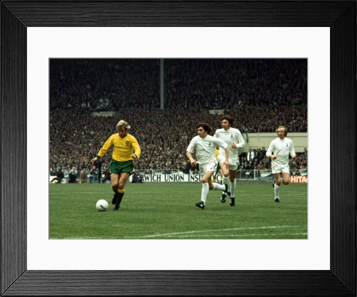 Framed Print : League Cup Final at Wembley Stadium Tottenham Hotspur 1 v Norwich City 0 Framed Print : League Cup Final at Wembley Stadium Tottenham Hotspur 1 v Norwich City 0