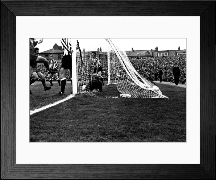 Framed Print : Newcastle United v Liverpool at St Jamess Park, 21 / 08 / 1971. Liverpool scores a goal Framed Print : Newcastle United v Liverpool at St Jamess Park, 21 / 08 / 1971. Liverpool scores a goal