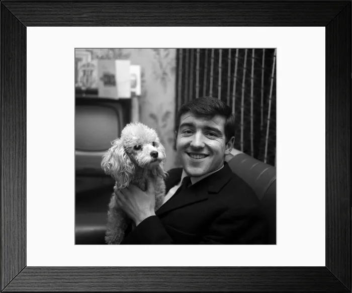 Framed Print : Terry Venables January 1964 at home with his pet poodle Framed Print : Terry Venables January 1964 at home with his pet poodle
