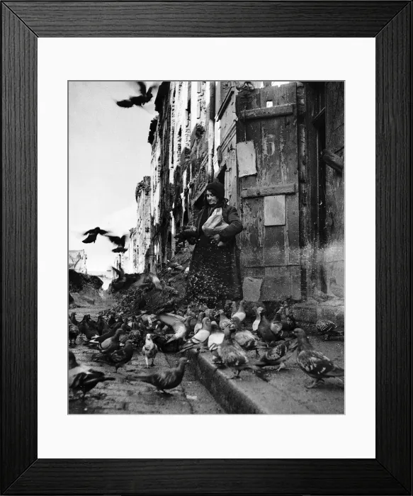 Framed Print : Feeding the pigeons amongst the WW2 rubble in London Framed Print : Feeding the pigeons amongst the WW2 rubble in London
