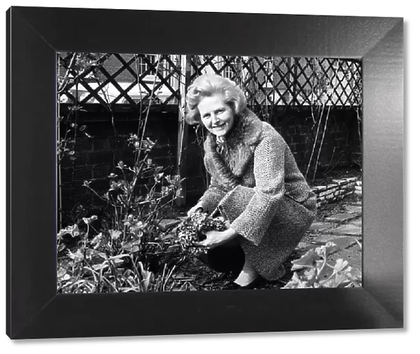 Margaret Thatcher, February 1975, working in the Front garden of her London Home