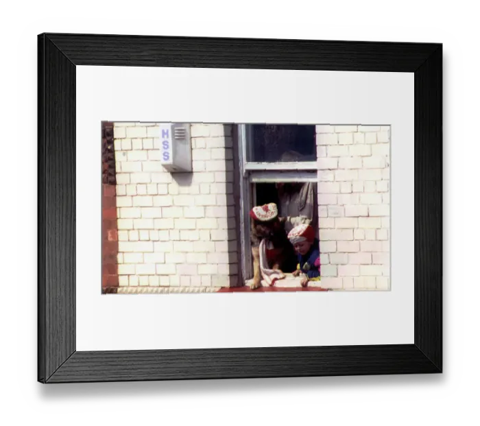 Framed Print : Liverpool return after winning FA Cup. OPS Fans with their dog cheering from a window Framed Print : Liverpool return after winning FA Cup. OPS Fans with their dog cheering from a window