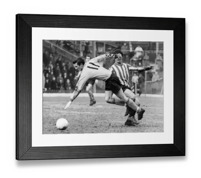 Framed Print : Hull City v Brentford Butler No 11 of Hull is fouled by Brentfords Curley Framed Print : Hull City v Brentford Butler No 11 of Hull is fouled by Brentfords Curley
