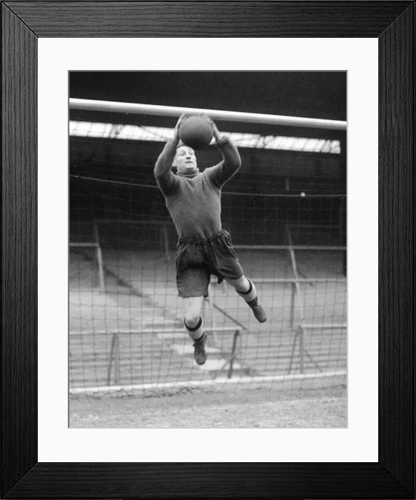 Framed Print : B Williams Wolves Circa 1947 Framed Print : B Williams Wolves Circa 1947