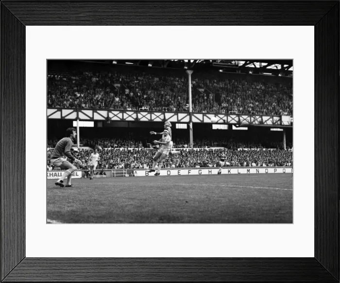 Framed Print : Everton 1 v. Brighton and Hove Albion 1. Division one Football Framed Print : Everton 1 v. Brighton and Hove Albion 1. Division one Football