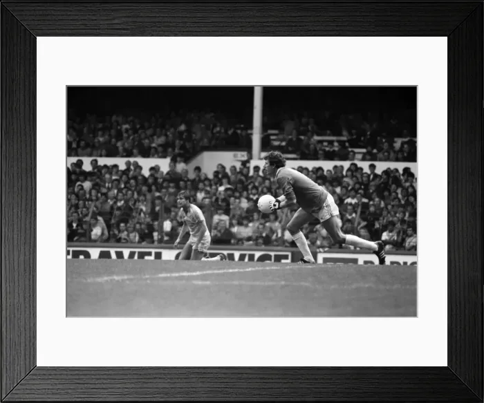 Framed Print : Everton 1 v. Brighton and Hove Albion 1. Division one Football Framed Print : Everton 1 v. Brighton and Hove Albion 1. Division one Football