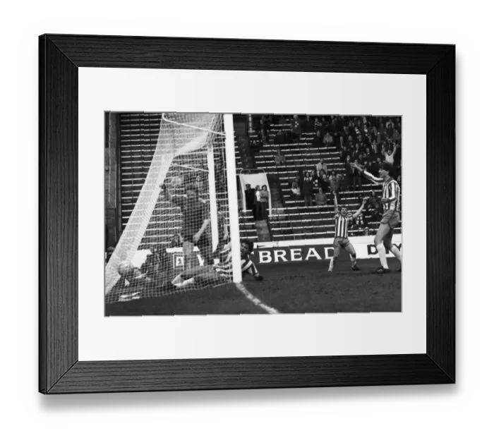 Framed Print : sheffield wednesday 2 v. Swansea 0. Division Two Football. Februay 1981 MF01-35-005