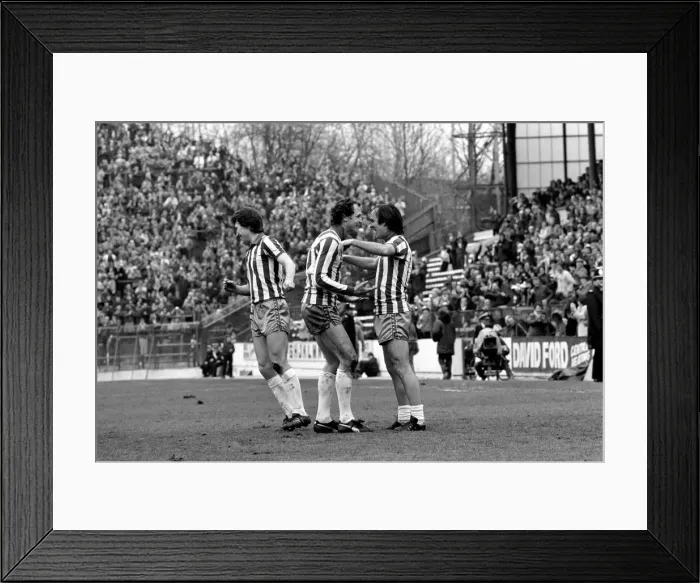 Framed Print : Sheffield Wednesday 3 v. Luton 1. Division Two Football. April 1981 MF02-14-035