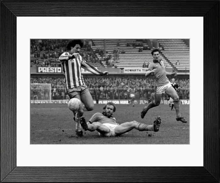 Framed Print : Sheffield Wednesday 3 v. Luton 1. Division Two Football. April 1981 MF02-14-022
