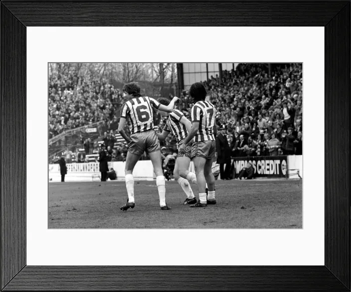 Framed Print : Sheffield Wednesday 3 v. Luton 1. Division Two Football. April 1981 MF02-14-010 Framed Print : Sheffield Wednesday 3 v. Luton 1. Division Two Football. April 1981 MF02-14-010