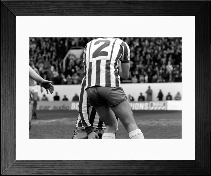 Framed Print : Sheffield Wednesday 3 v. Luton 1. Division Two Football. April 1981 MF02-14-006 Framed Print : Sheffield Wednesday 3 v. Luton 1. Division Two Football. April 1981 MF02-14-006