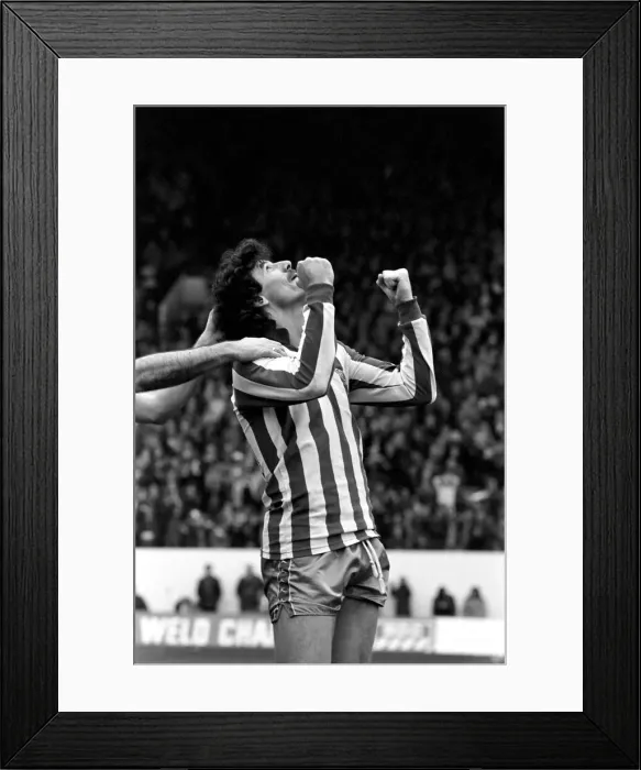 Framed Print : Sheffield Wednesday 3 v. Luton 1. Division Two Football. April 1981 MF02-14-004