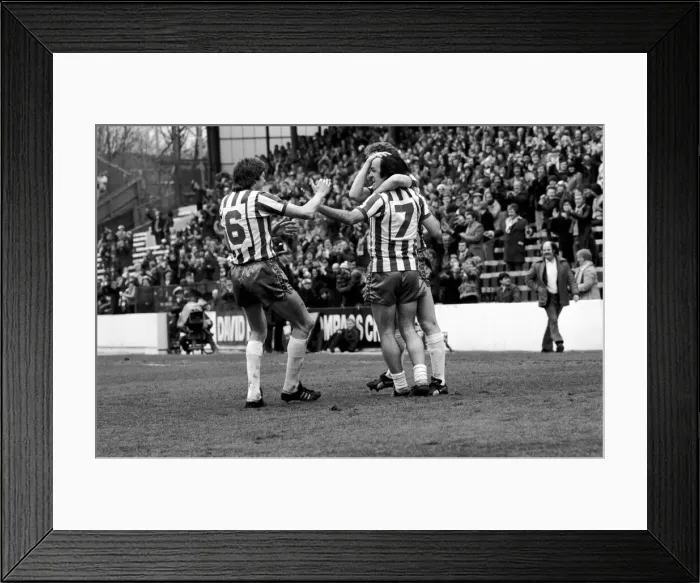 Framed Print : Sheffield Wednesday 3 v. Luton 1. Division Two Football. April 1981 MF02-14-011 Framed Print : Sheffield Wednesday 3 v. Luton 1. Division Two Football. April 1981 MF02-14-011