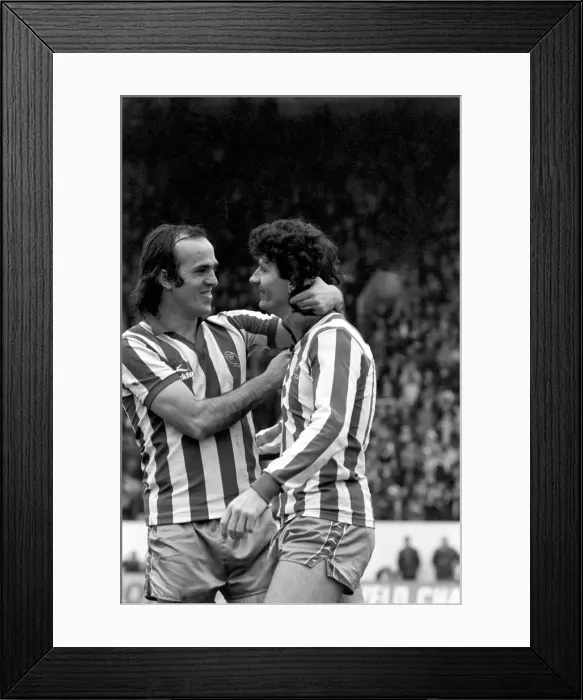 Framed Print : Sheffield Wednesday 3 v. Luton 1. Division Two Football. April 1981 MF02-14-003 Framed Print : Sheffield Wednesday 3 v. Luton 1. Division Two Football. April 1981 MF02-14-003