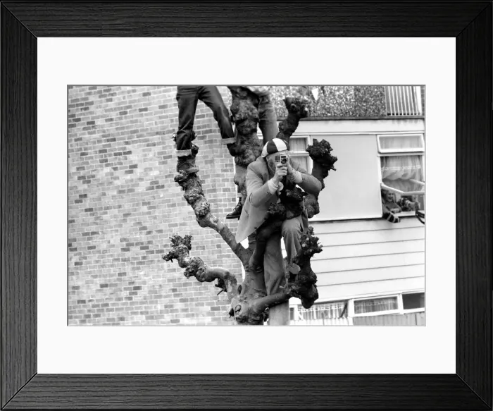 Framed Print : West Ham fans try to get a good view above the crowds during the West Ham victory parade
