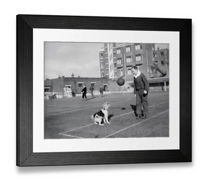 Framed Print : Football Freddie Steele ( Port Vale ) ex Mansfield Manager seen here