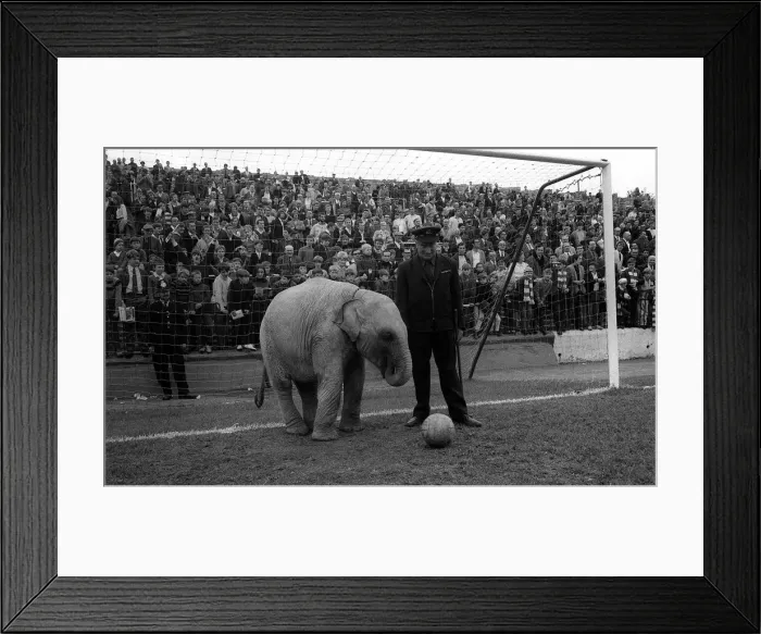 Framed Print : During the Charlton v Portsmouth game at the Valley Framed Print : During the Charlton v Portsmouth game at the Valley