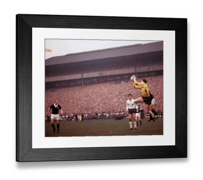 Framed Print : Gordon Banks England football Scotland v England Framed Print : Gordon Banks England football Scotland v England