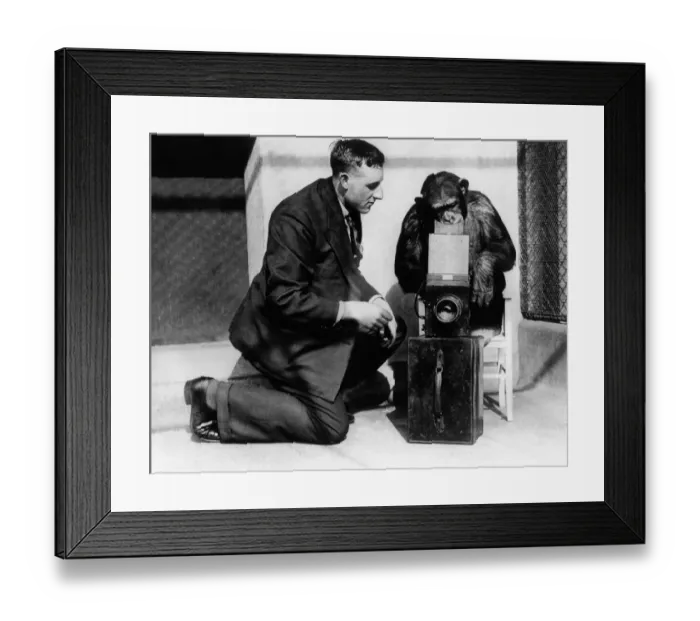 Framed Print : George Greenwell: 1927 George with a monkey using his camera - where he took some of his Framed Print : George Greenwell: 1927 George with a monkey using his camera - where he took some of his