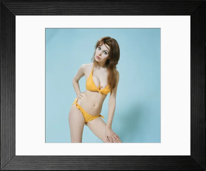 Framed Print : Model and horror film actress Madeline Smith poses in the studio wearing a bikini Framed Print : Model and horror film actress Madeline Smith poses in the studio wearing a bikini