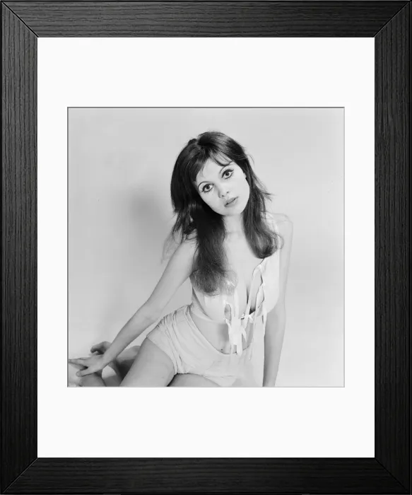 Framed Print : Model and horror film actress Madeline Smith poses in the studio. 25th March 1971 Framed Print : Model and horror film actress Madeline Smith poses in the studio. 25th March 1971