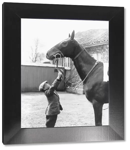 George Formby aged 10 years old 1915 reaches horses reins wears flat cap