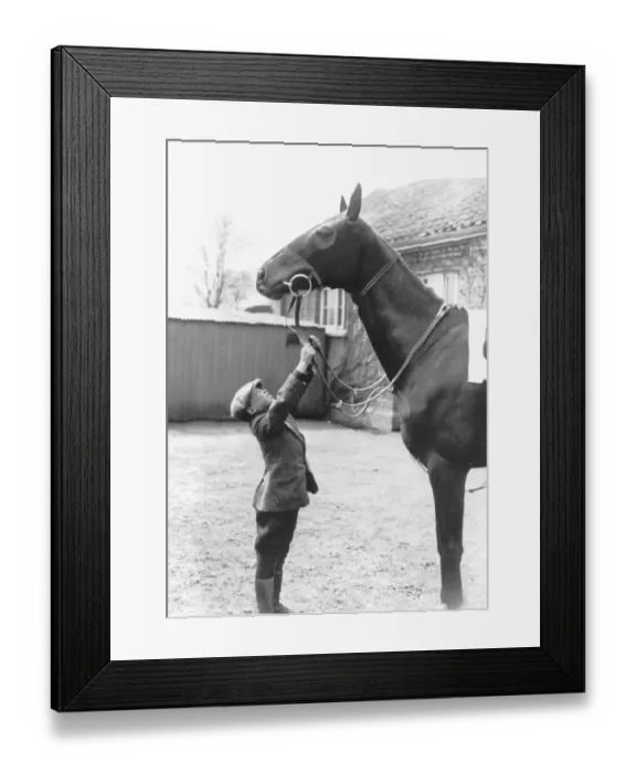 Framed Print : George Formby aged 10 years old 1915 reaches horses reins wears flat cap Framed Print : George Formby aged 10 years old 1915 reaches horses reins wears flat cap