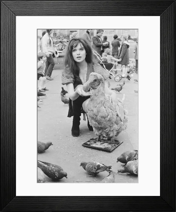 Framed Print : Actress and former model Madeline Smith was forcibly moved on by the law in company with Framed Print : Actress and former model Madeline Smith was forcibly moved on by the law in company with