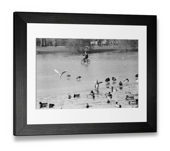 Framed Print : A young child riding his bike on the ice covered boating lake at Victoria Park in London