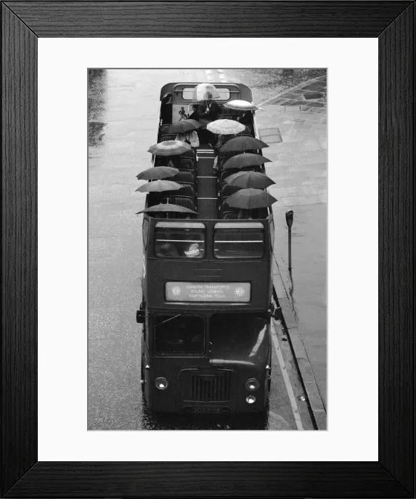 Framed Print : Tourists sit underneath their umbrellas on the top deck of an open top bus during a Framed Print : Tourists sit underneath their umbrellas on the top deck of an open top bus during a