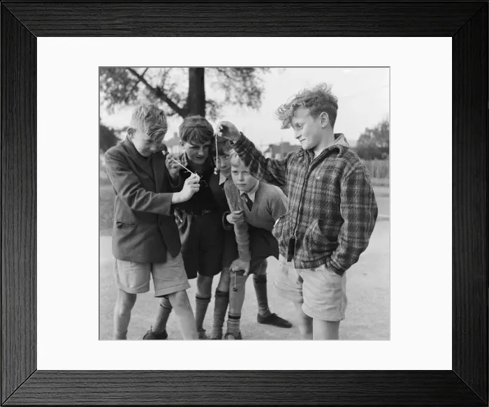 Framed Print : A group of friends taking part in a game of conkers outside their house